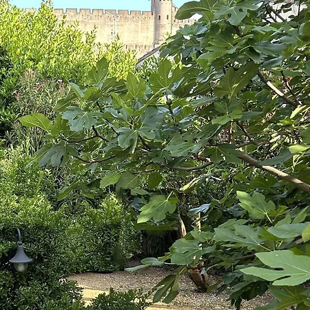 La Villa-carcassonne Alojamento de Acomodação e Pequeno-almoço Carcassonne